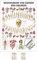 Ruediger Anatomie MIPO75LAM Beziehungen von Organen und Zähnen Tafel, 24 cm x 34 cm, laminiert