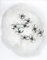 Rubies 290480 - Riesen-Spinnennetz