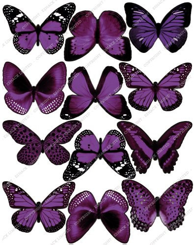 Lot de 12 Papillons Violets Comestibles PRÉ-DÉCOUPÉS par Cakeshop