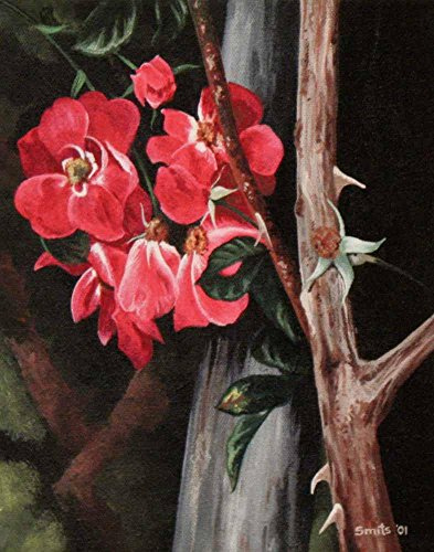 Sandra Bast - William Buffin Rose Art Print Open Edition