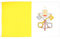 BANDIERA CITTÀ DEL VATICANO 90x60cm - BANDIERA VATICANA 60 x 90 cm - AZ FLAG
