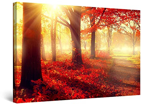 Startonight Bilder Tagtraum Morgen im Wald, Leinwandbilder Moderne Kunst, Baum Rot Wanddeko Kunstdrucke, Wandbilder XXL Wohnzimmer Groß Wand Bild 80 x 120 cm, Tag Nacht Effekt, Elegant