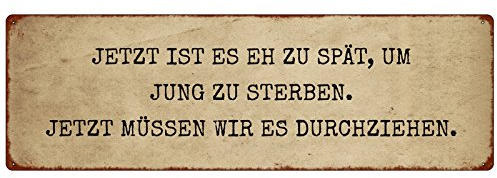 Interluxe METALLSCHILD Blechschild JETZT IST ES EH ZU SPÄT JUNG ZU STERBEN Weisheit Lebensweise Dekoration Geschenk Spruch Motivation Dekoschild