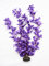 Fish Around Aquarium Plant Decor Purple Orchid Collection (x1-50cm)