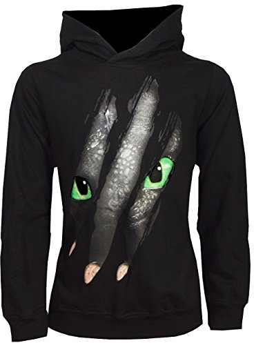 Dragons Jungen DreamWorks Hoodie Kapuzenpullover