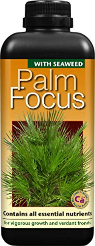 Growth Technology Ltd,1L,Black Palm Focus 1 Litre