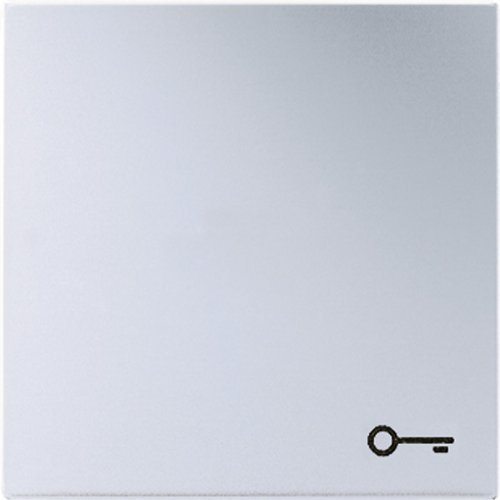 Jung ls990 - Tecla simbolo puerta aluminio