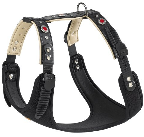 Ferplast 76111017 Ledergeschirr Giotto P Small, für Hunde, Halsumfang: 31-39 cm, Brustumfang: 44-52 cm, schwarz mit Applikationen
