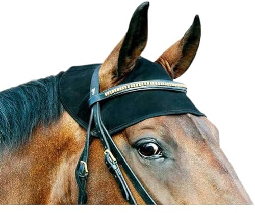 Back on Track Genickschoner