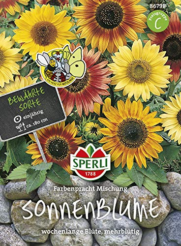 Sonnenblume Farbenpracht, Mischung