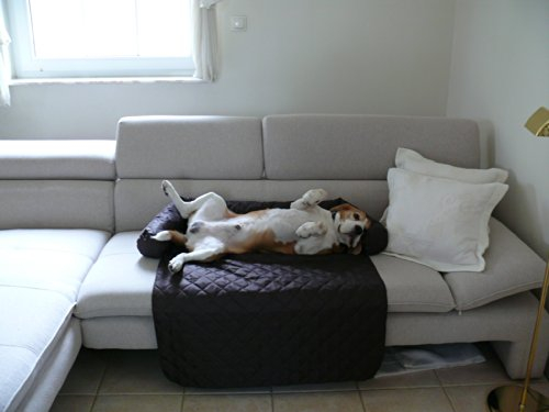 Artur Soja Leo Hundebett Couch XL 145 x 110cm BRAUN Sesselschutz Sofaschutz COUCHPROTECT