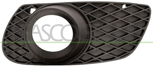 Prasco - ME8241250 - Mercedes - ML Class (W164) - Mod. 01/06-12/07 - Abdeckung Nebelscheinwerfer Links
