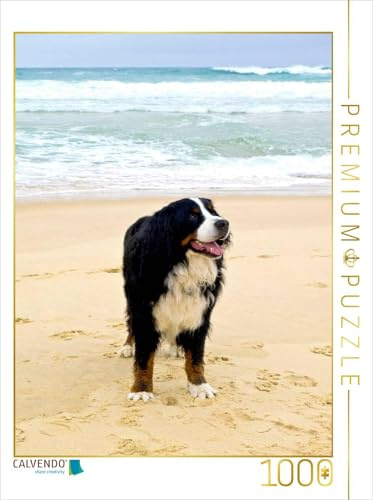 CALVENDO Puzzle EIN Motiv aus dem Kalender BÄR - Der Berner Sennenhund | 1000 Teile Lege-Größe 48 x 64 cm Foto-Puzzle für glückliche Stunden