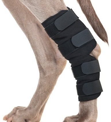 Back on Track Dog Hock Brace, pair