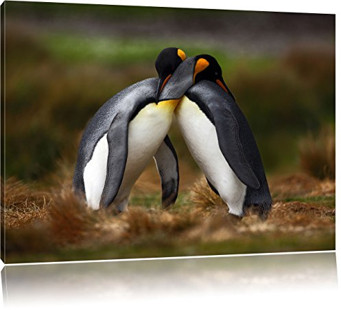 Pixxprint Umarmende Pinguine in der Antarktis, Größe: 60x40cm, Leinwandbild, fertig gespannt, Wandbild, Dekoration, Kunstdruck, kein Poster