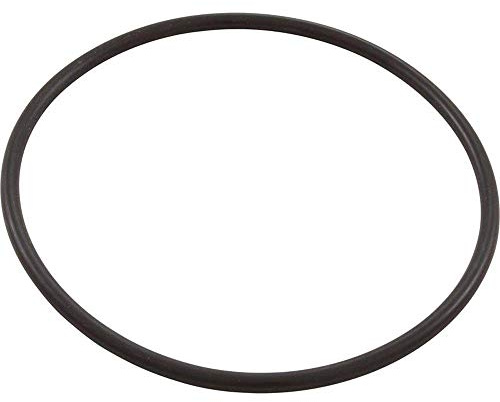 Hayward Joint torique de rechange SPX1500P pour filtre certaines pompes