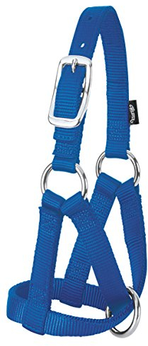 Weaver Leather Ziegenhalfter für Vieh, blau, klein