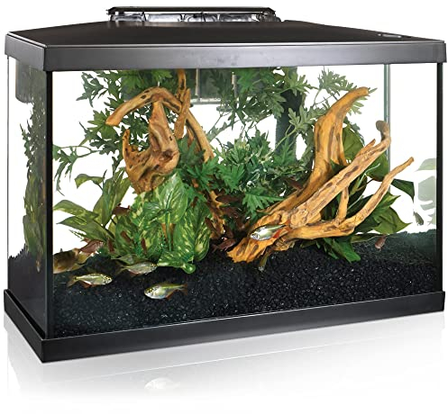 Marina - Kit de Acuario con Iluminación LED, Vidrio, Transparente, 20G, 75 L, 61.4 x 32.2 x 41.9 cm