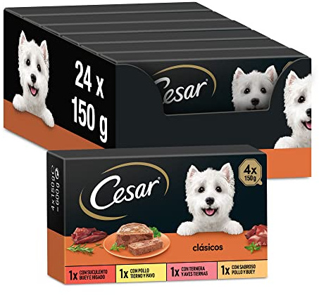 Cesar Nassfutter für Hunde, Auswahl an Klassikern in Pastete, Multipack (6 x 4 Becher x 150 g)
