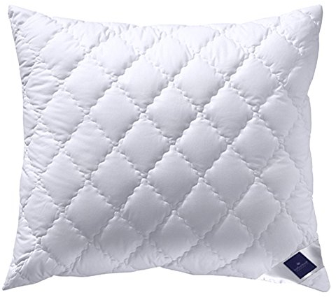 Billerbeck 5453290008 Kissen E45 Bamboo N, circa 70 x 90 cm