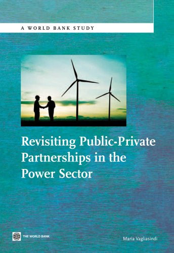 Revisiting Public-Private Partnerships in the Power Sector (World Bank Studies) (English Edition)