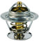FAE 5307087 Thermostat d'eau