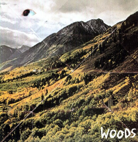 Songs of Shame [Vinyl]
