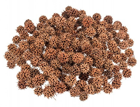 NaDeco Amberbaum Zapfen verpackt im Beutel mit 250g, Durchmesser der Zapfen ca. 2-3cm | Botanisch Liquidambar styraciflu, Herkunft Nordamerika | Amberbaum Früchte | Amber Zapfen | Naturdeko