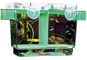 Hobby Nido 2 (21,6 x 16,4 x 14,2 cm)