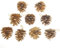 Rosenice Tannenzapfen Deko Weihnachtsschmuck - 9 Stk/Set (Golden)