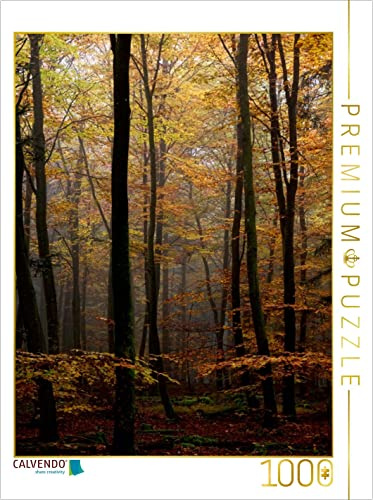 CALVENDO Puzzle Herbst im Wald | 1000 Teile Lege-Größe 48 x 64 cm Foto-Puzzle für glückliche Stunden