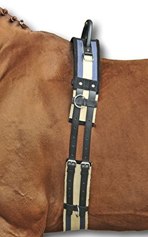HKM Pferde Longiergurt mit Haltegriff – Gurt zum Longieren aus besonders strapazierfähigem Canvas-Material und Strupfen aus Leder | Ausführung: Vollblut/Warmblut (Dunkelblau-Beige)