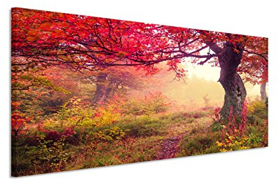150x50cm Leinwandbild auf Keilrahmen Ukraine Wald Wiese Bäume Sommer Wandbild auf Leinwand als Panorama
