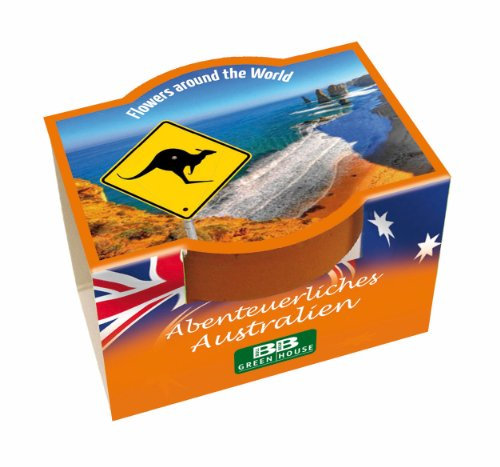 Bull & Bear Mini Pflanzset 'Abenteuerliches Australien' Blumen Samen, Tontöpfchen mit Blumensamen und Pflanzsubstrat