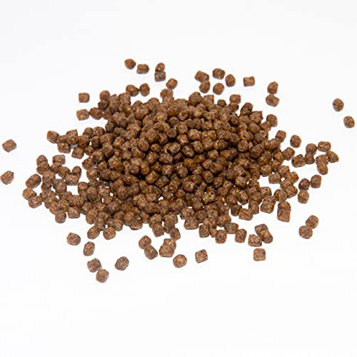 Koi Koifutter * Top Energy Plus * 5 kg Wachstumsfutter Fischfutter 3-6mm