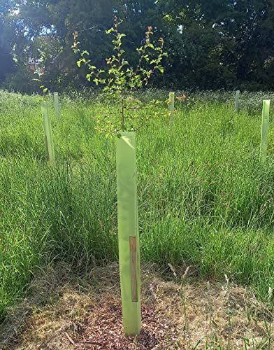 F&G Supplies Tree Guard Protectors 1.2m with Stakes Pack of 10