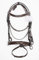 Pets2Care Leder Bonfire gepolstert Trensenzaum braun & weiß 2,5 cm Reithalfter PREMIUM QUALITÄT Show Trensenzaum erhältlich in Full Cob & Pony
