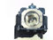Original ET-LAE300 Panasonic Lamp sourced directly from Panasonic
