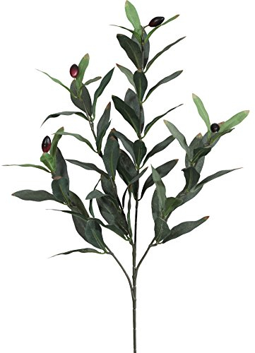 Unbekannt Künstlicher OLIVENZWEIG ca 50 cm, ca 66 Blatt. EIN Oliven AST, Zweig mit 4 Trieben.