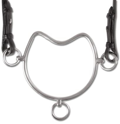 WALDHAUSEN Steiggebiss