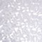 Venilia Fensterfolie statisch Vitrostatic Geomag Sichtschutz Folie, PVC, ohne Phatalate, transparent, 67,5cm x 1,5m, 200µm (Stärke: 0,2mm)