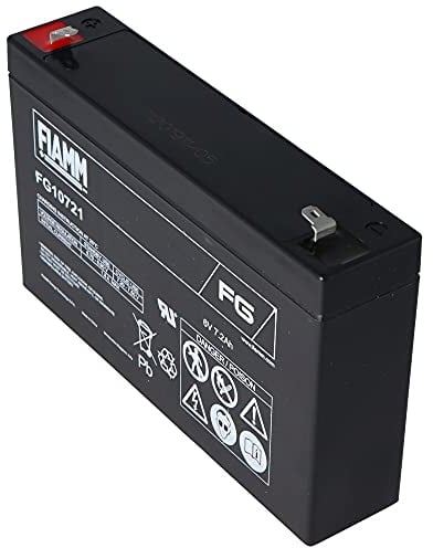 FIAMM Batteria al piombo ricaricabile FG10721