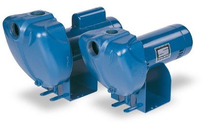 Pentair DS3HF-01 Einphasige selbstansaugende Hochkopf-Zentrifugal-Pumpe, 1-1/2 PS