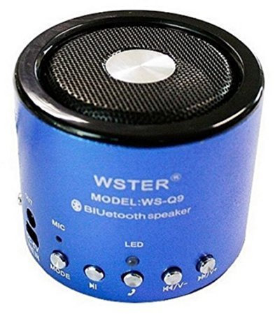 WSTER Altoparlante, mini altoparlante, bluetooth, radio FM, card micro SD e porta USB -
