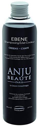 Ebene Anju Shampoo, 5 l