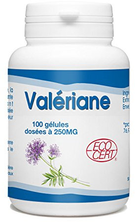 Valériane extrait racine bio - 250 mg - 100 gélules