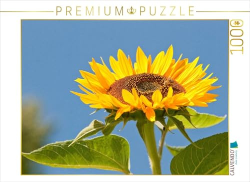 CALVENDO Puzzle EIN Motiv aus dem Kalender Bauerngarten - Bunte Vielfalt | 1000 Teile Lege-Größe 64 x 48 cm Foto-Puzzle für glückliche Stunden