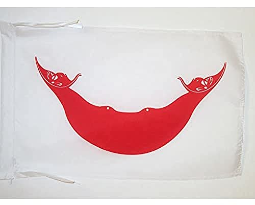 AZ FLAG - Flagge Osterinsel - 45x30 cm Mit Kordel - Rapa Nui Fahne 30 x 45 Cm - Flaggen