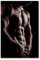 Postereck - 0043 - Sixpack, Mann Erotik Muskeln Sport Nackt Sexy - Erotisch Sexy Nackt Wandposter Fotoposter Bilder Wandbild Wandbilder - Poster - 3:2-91,0 cm x 61,0 cm