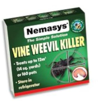 Nemasys vine weevil killer 12sq m - same-day despatch for Insects